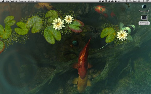 Koi pond 3d mac free download softonic